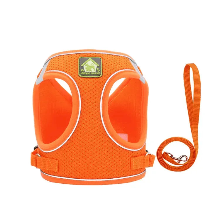 Set Ham tip vestă pentru câini, ajustabil, cu benzi reflectorizante + lesă inclusă Petora
