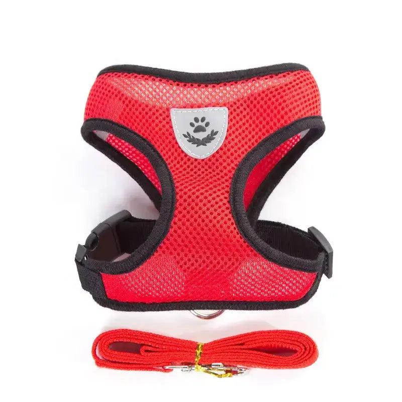 Set ham mesh respirabil pentru căței + lesă 1.5m, ajustare rapidă, roșu Petora