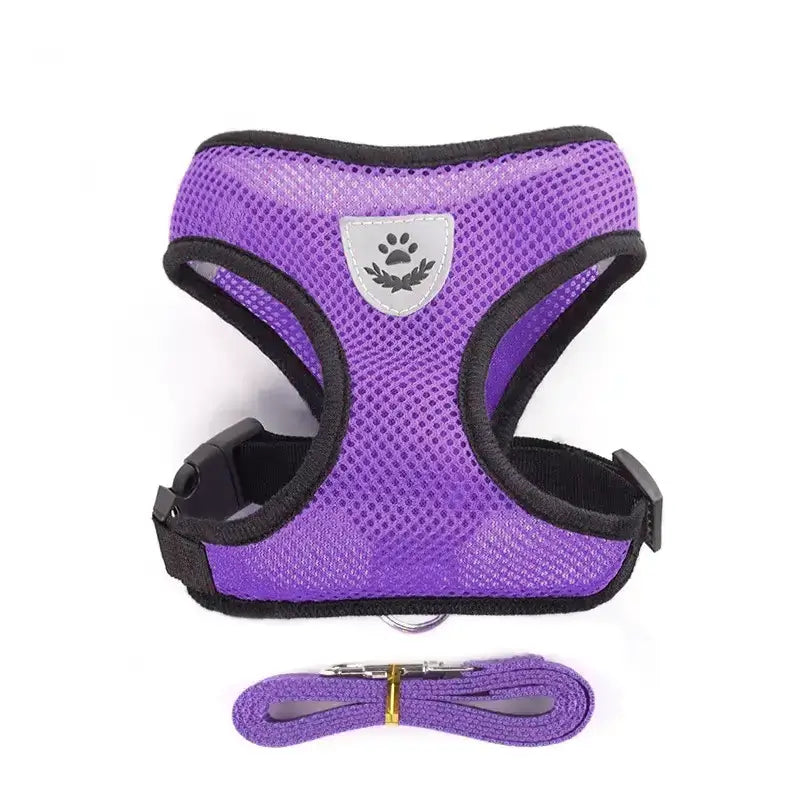 Set ham mesh respirabil pentru căței + lesă 1.5m, ajustare rapidă, mov Petora