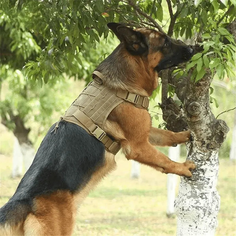 Ham militar ajustabil pentru câini, verde Petora