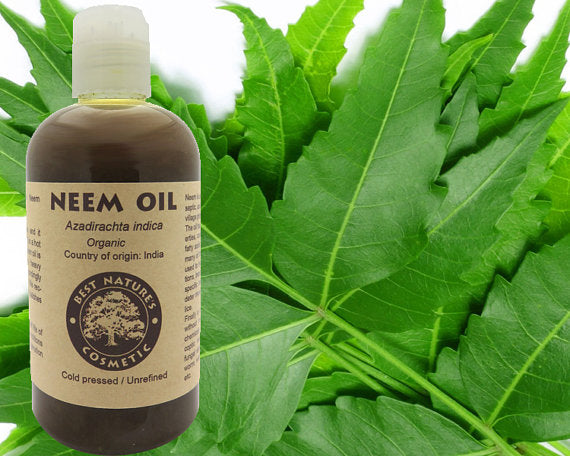 Ulei de neem 100% pur, virgin (organic, nediluat,
