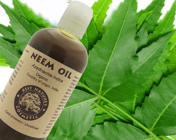 Ulei de neem 100% pur, virgin (organic, nediluat,