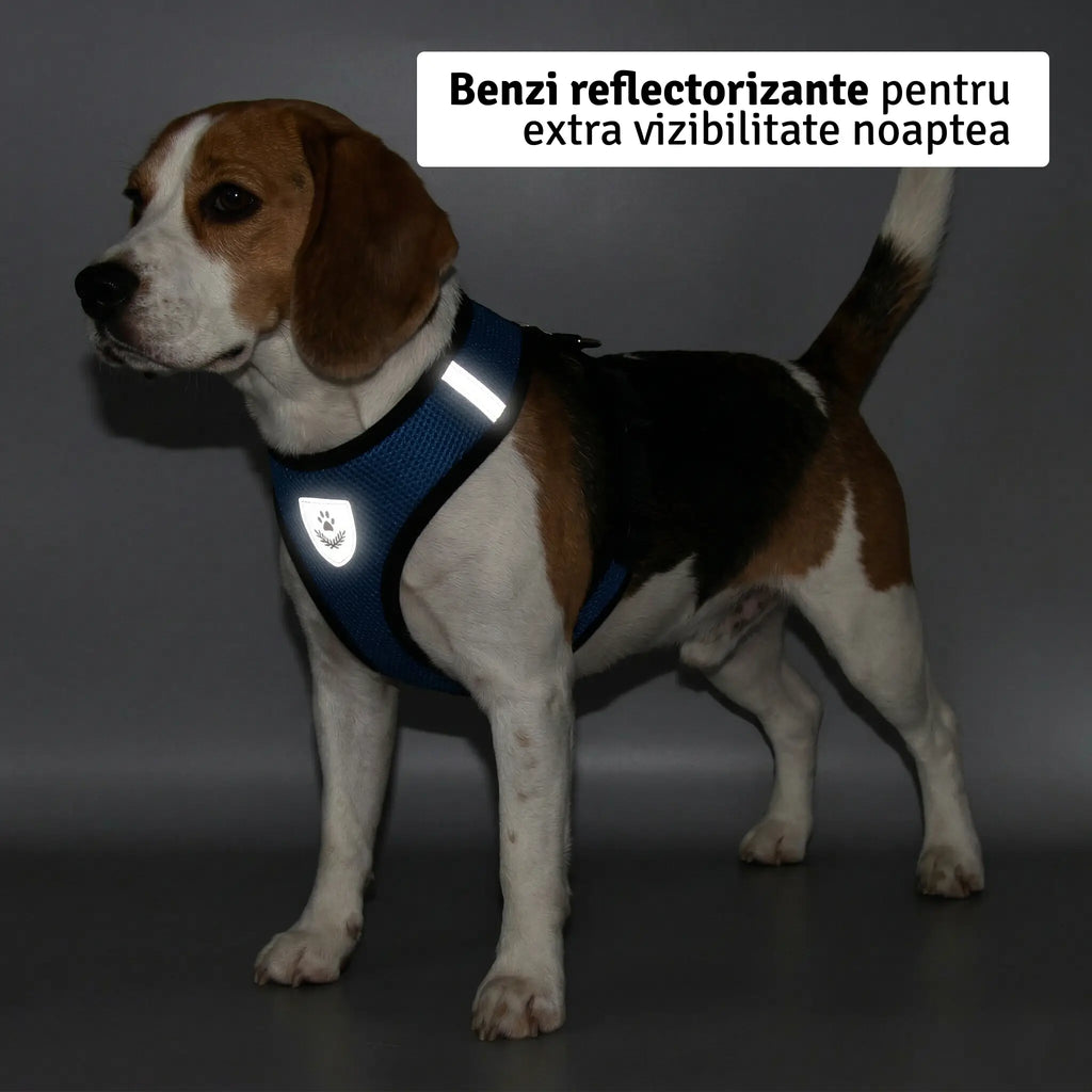 Set ham mesh respirabil pentru căței + lesă 1.5m, ajustare rapidă, negru Petora