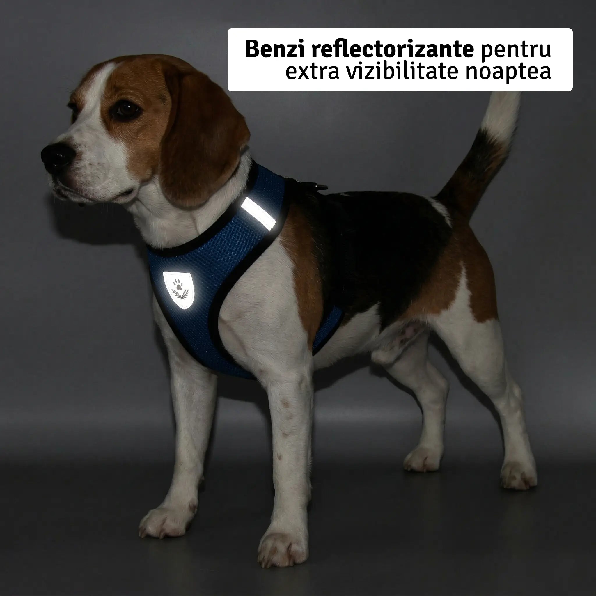 Set ham mesh respirabil pentru căței + lesă 1.5m, ajustare rapidă, negru Petora