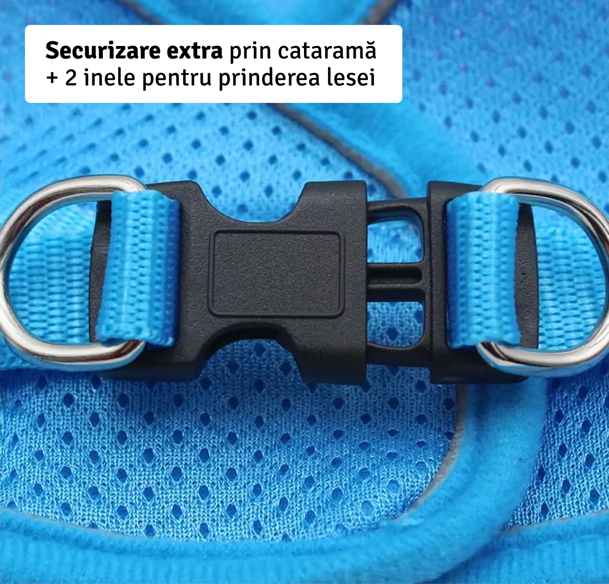Set Ham tip vestă pentru câini, ajustabil, cu benzi reflectorizante + lesă inclusă Petora