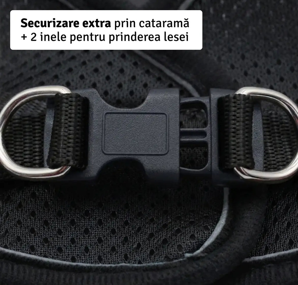Set Ham tip vestă pentru câini, ajustabil, cu benzi reflectorizante + lesă inclusă Petora
