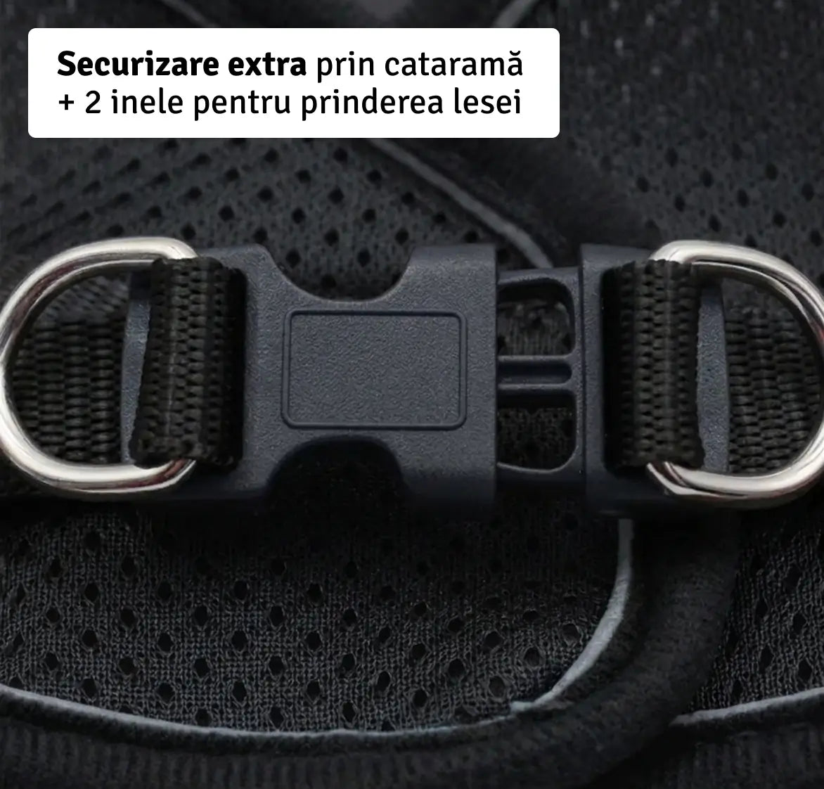 Set Ham tip vestă pentru câini, ajustabil, cu benzi reflectorizante + lesă inclusă Petora