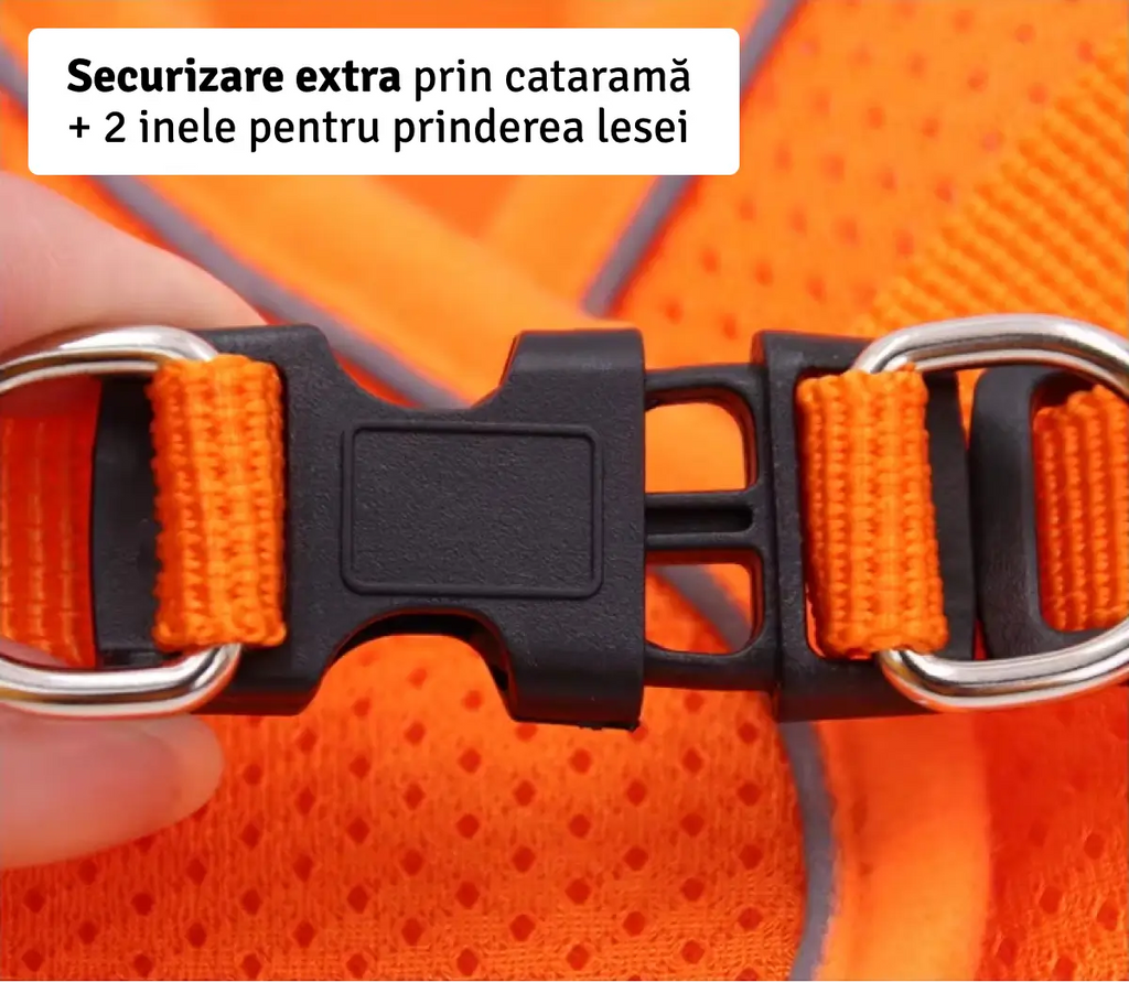 Set Ham tip vestă pentru câini, ajustabil, cu benzi reflectorizante + lesă inclusă Petora