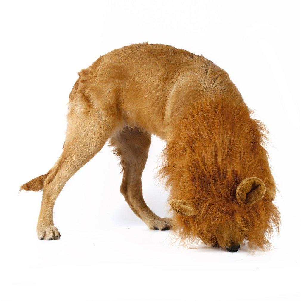 Lion Theme Dog Wig - Cart2u.ro