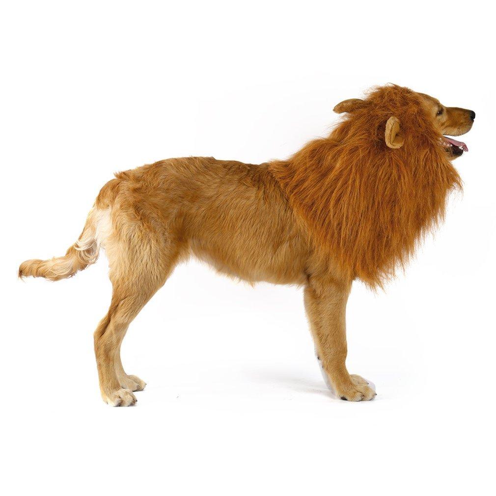 Lion Theme Dog Wig - Cart2u.ro