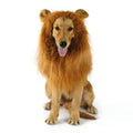 Lion Theme Dog Wig - Cart2u.ro