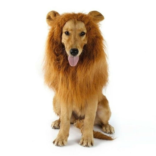 Lion Theme Dog Wig - Cart2u.ro