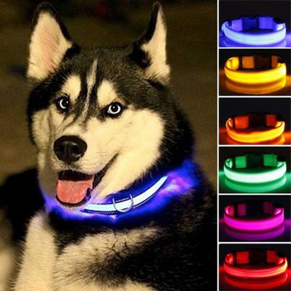 2 PCS Set Nylon LED Dog Collar - Cart2u.ro