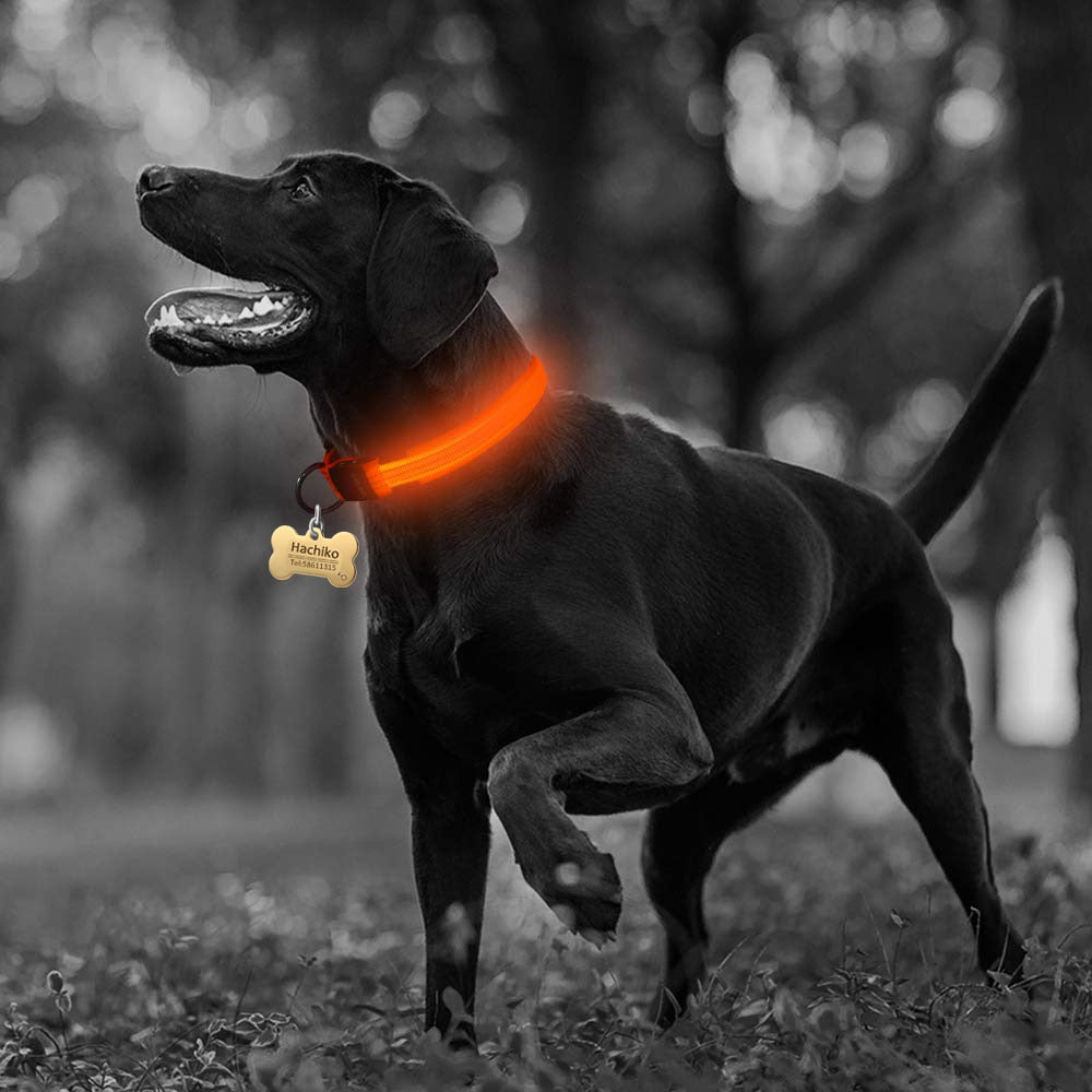 2 PCS Set Nylon LED Dog Collar - Cart2u.ro