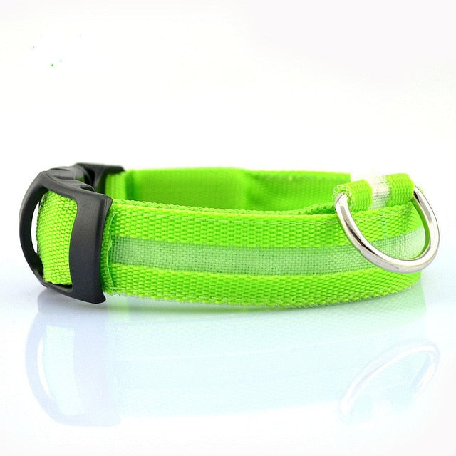 2 PCS Set Nylon LED Dog Collar - Cart2u.ro