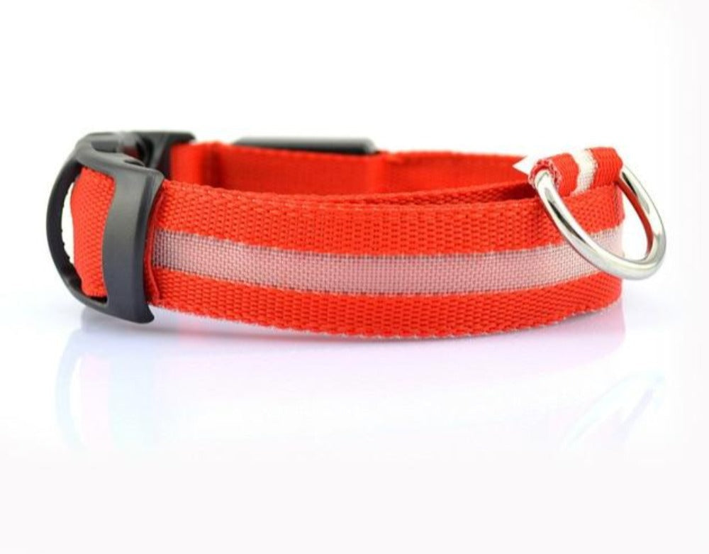 2 PCS Set Nylon LED Dog Collar - Cart2u.ro
