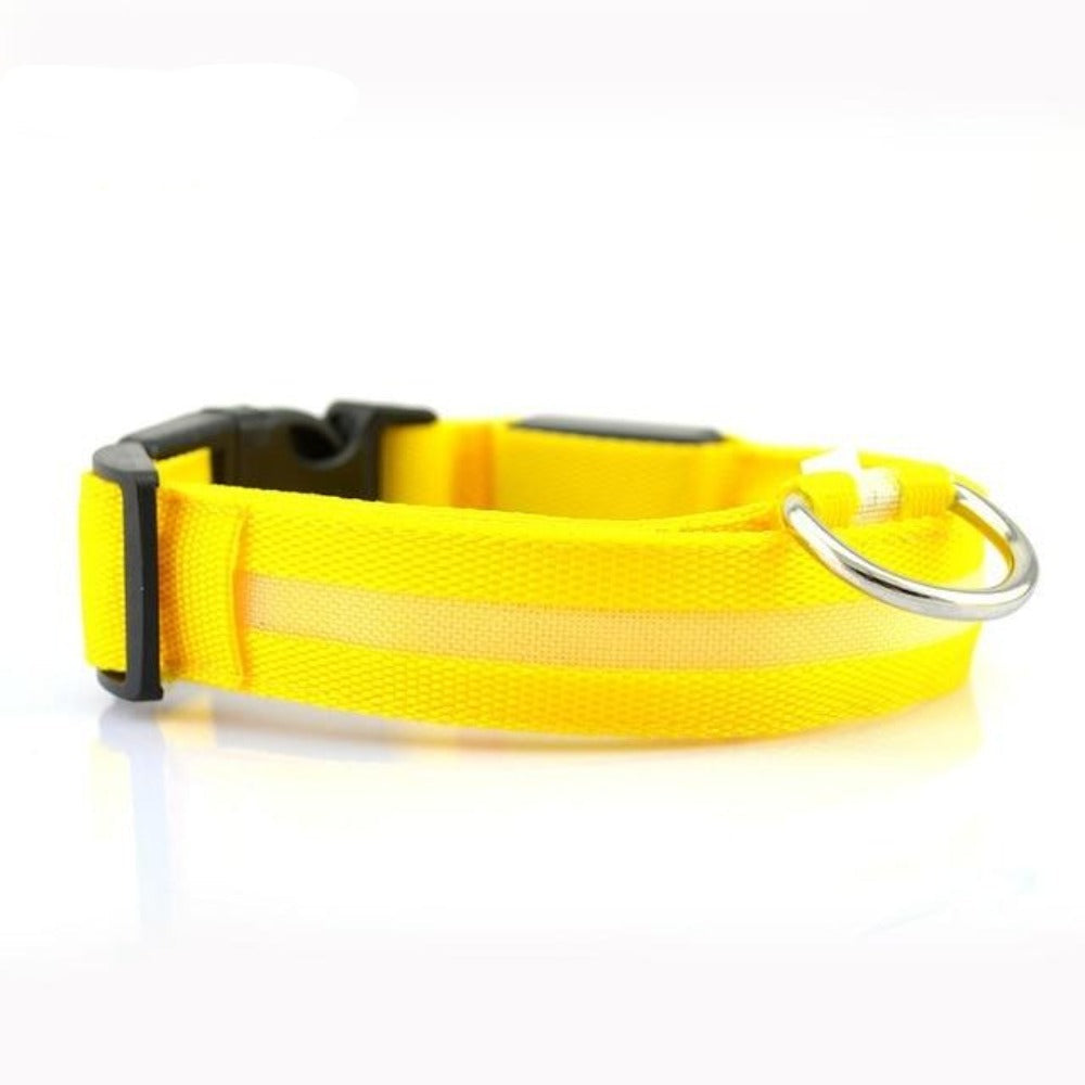2 PCS Set Nylon LED Dog Collar - Cart2u.ro
