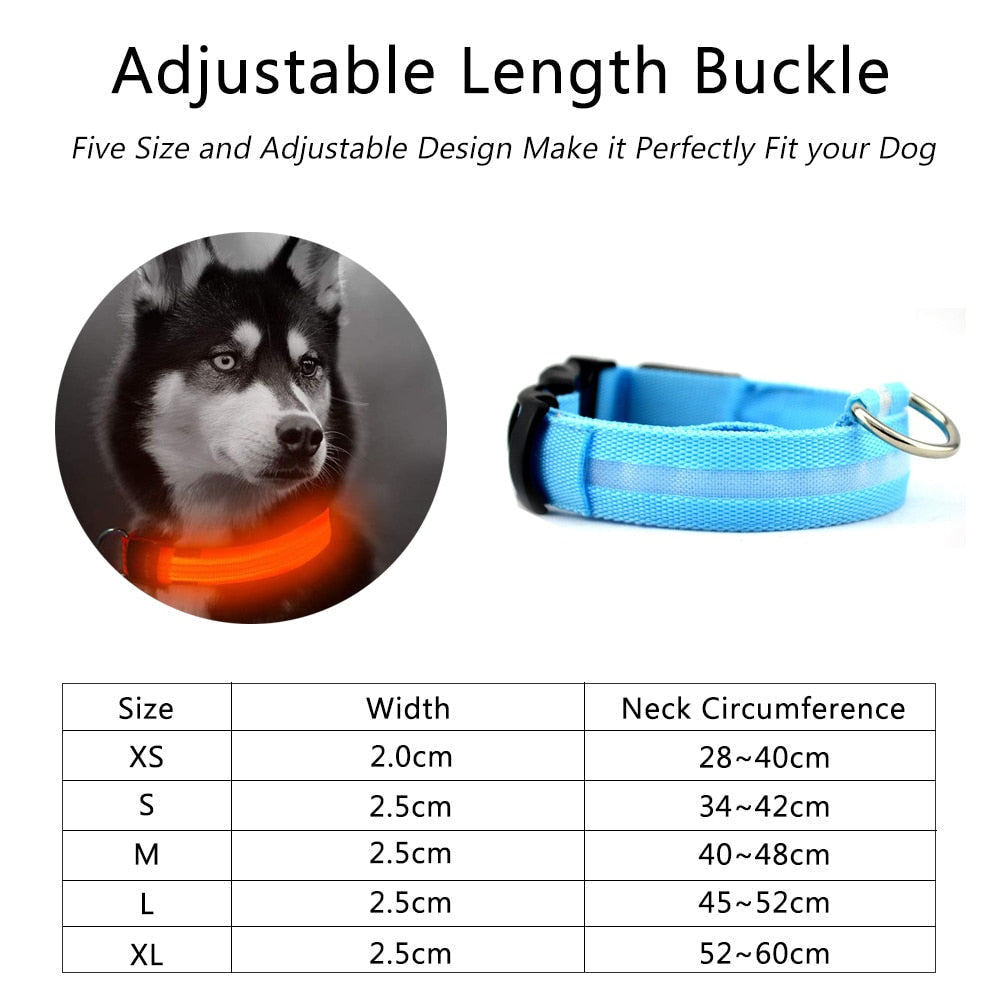 2 PCS Set Nylon LED Dog Collar - Cart2u.ro