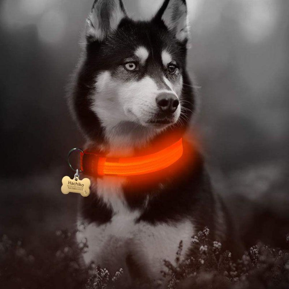 2 PCS Set Nylon LED Dog Collar - Cart2u.ro