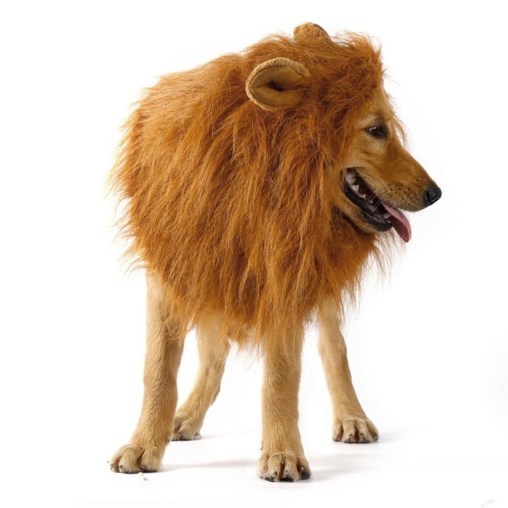 Lion Theme Dog Wig - Cart2u.ro