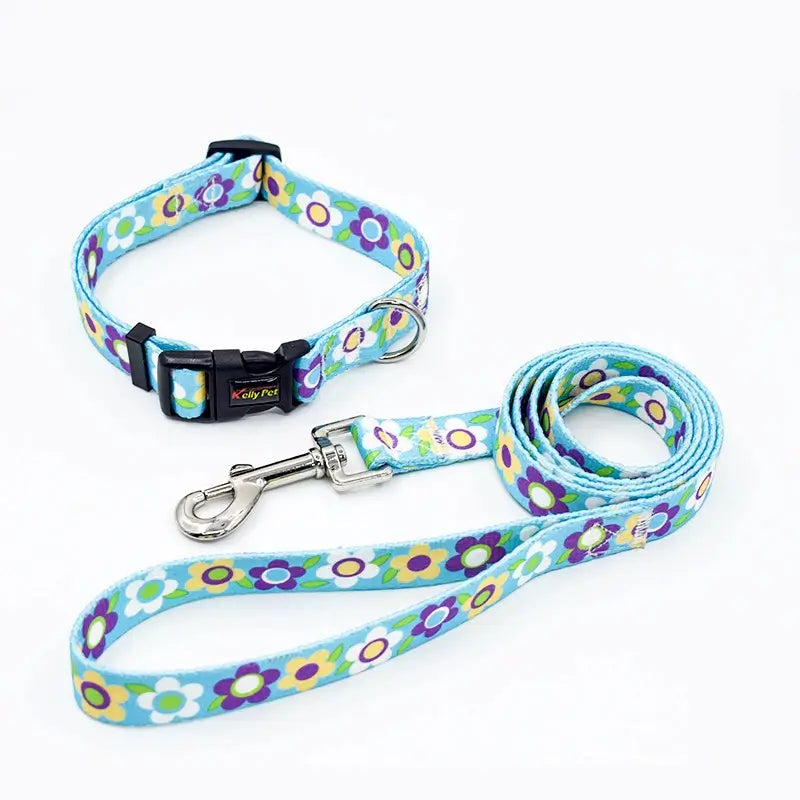 Set zgardă reglabilă cu lesă, pentru câini, cyan Petora