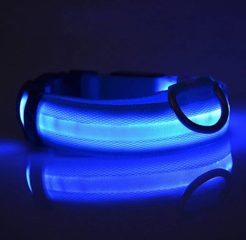 Zgardă LED pentru câini, albastră Petora