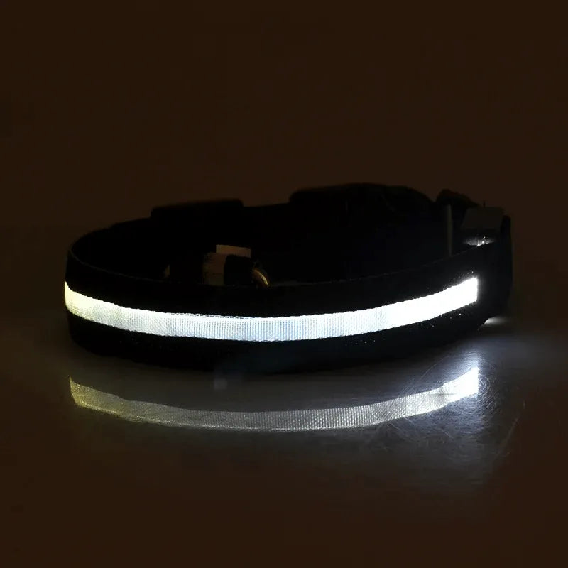 Zgardă LED pentru câini, neagră Petora