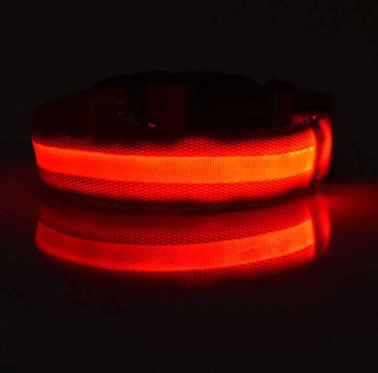 Zgardă LED pentru câini, roșie Petora