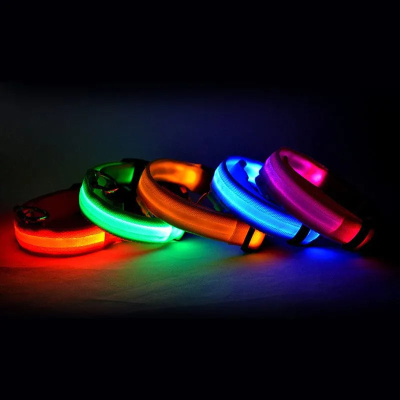 Zgardă LED pentru câini, verde Petora