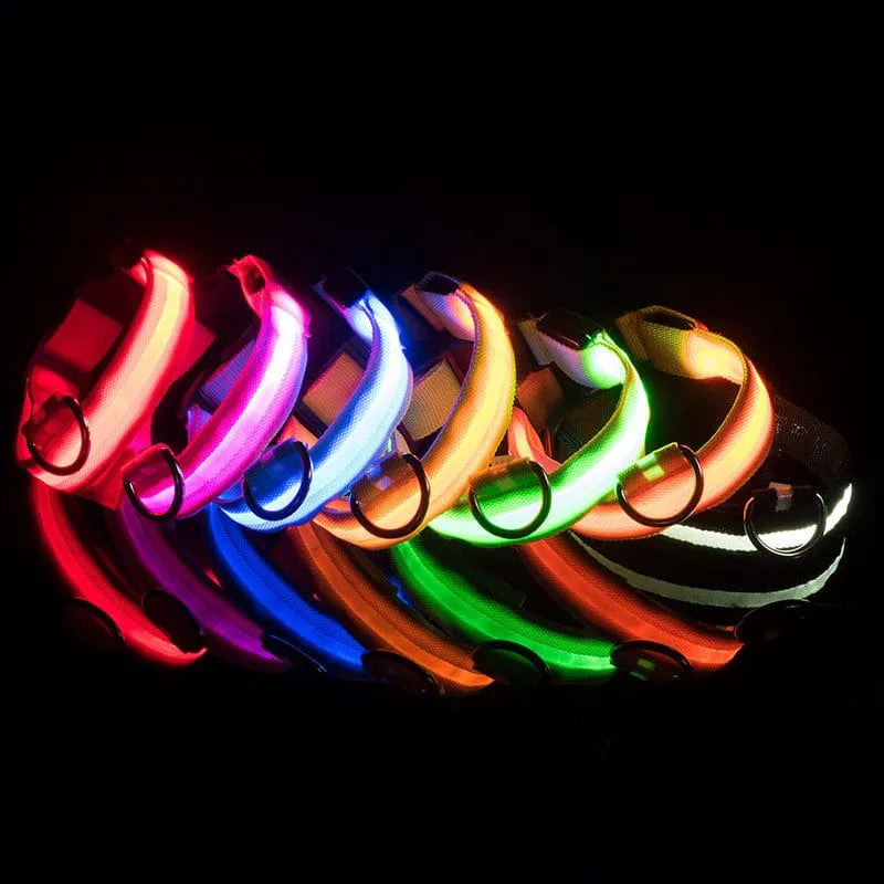 Zgardă LED pentru câini, roz Petora