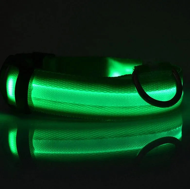 Zgardă LED pentru câini, verde Petora